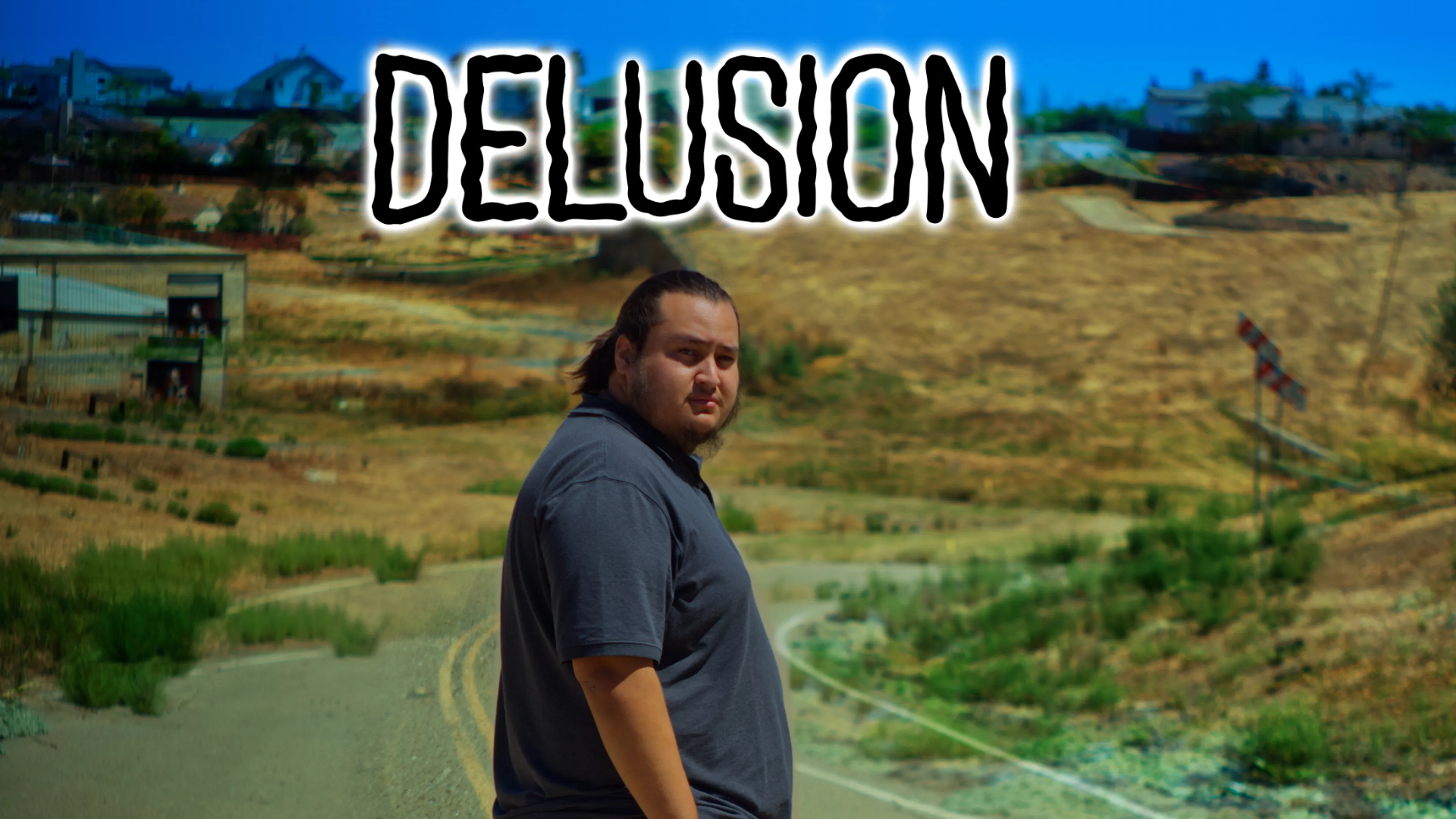 Delusion poster